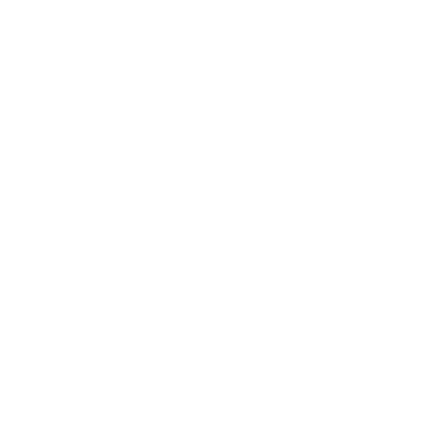 Car Ornament PN8W69L.png